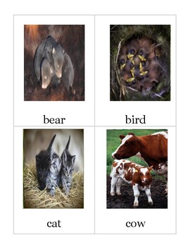 Preview of baby animal vocabulary cards