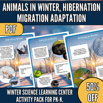 Preview of Animals in Winter,Hibernation migration adaptation Animals worksheet