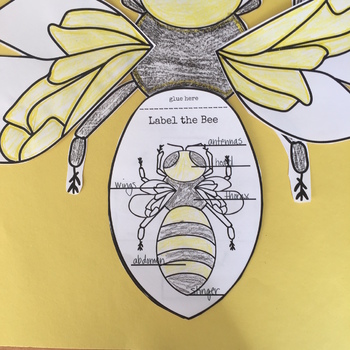 Bee Craft:Science,Language Arts,Editable Writing Prompts | TPT