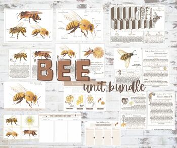 Preview of bee unit - natural learning