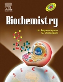 biochemistry thanksgiving reading comprehension