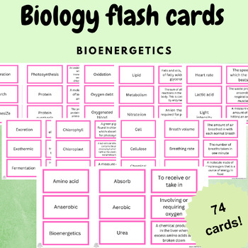 Preview of biology card activity game key words bioenergetics nutrition energy