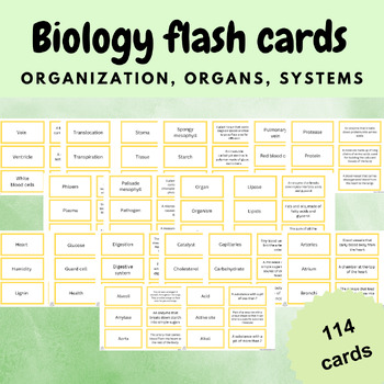 Preview of biology flash card activity game key words organization organs systems