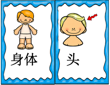 Mandarin Chinese Body Parts Flashcards Classroom Use Size 1 身体部位词卡1