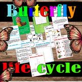 butterfly life cycle,butterfly life cycle cut and paste