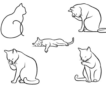 cat Coloring Pages by Just For Coloring | TPT