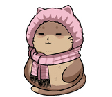 cat winter hood