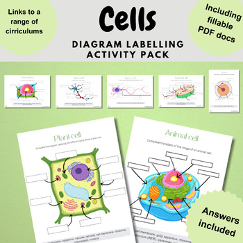Preview of cell biology diagram labelling activities plant and animal cells bacterial cell