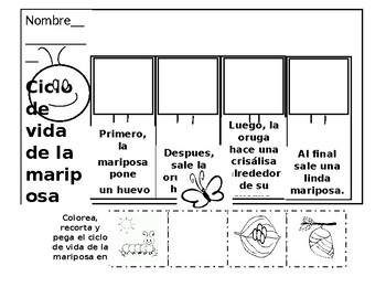 Preview of ciclo de vida de la mariposa