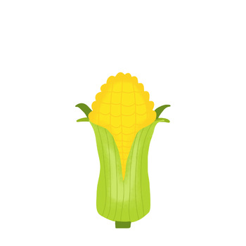 Preview of corn