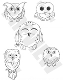 cute OWL clipart-- realistic black and white images