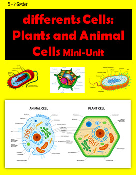 Preview of differents Cells: Plants and Animal Cells Mini-Unit