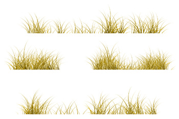 cartoon dry grassland
