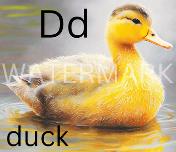 Preview of duck flashcard