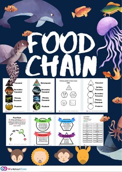 Preview of ecosystems, Food chain ,food relationship interaction ecology