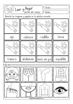 el CUERPO Cut & Glue (leer & pegar), Spanish body vocabulary worksheets