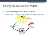 energy conversion presenation