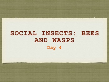 Preview of engage NY Insects Day 3