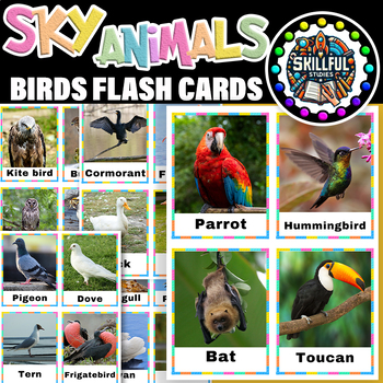 Preview of Birds Flash cards |Sky Animals Birds Posters for kids to learn Vocabulary