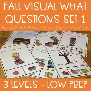 Preview of FALL VISUAL WHAT QUESTIONS FOR AUTISM SPECIAL EDUCATION