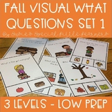 FALL VISUAL WHAT QUESTIONS FOR AUTISM SPECIAL EDUCATION