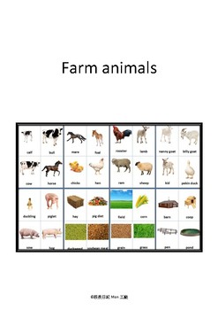 farm animals by Cindy Cheng | TPT