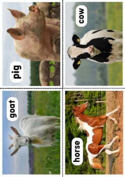 Preview of farm animals photo flashcards
