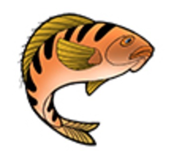 Preview of fish clip art png