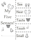 five senses foldable