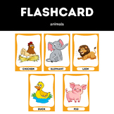flashcard animals