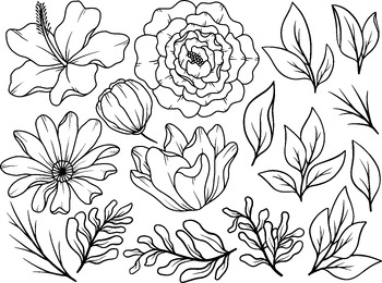 Preview of flower line art