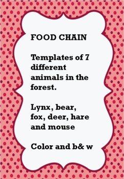 Preview of food chain nutrition chain templates animals in the forest