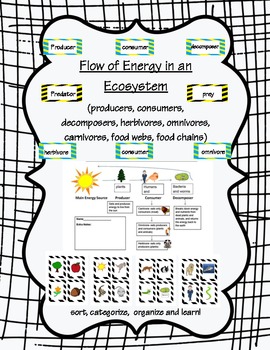 food webs, food chains, and the flow of energy in an ...