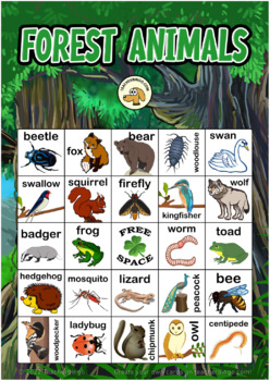Forest Animals Teaching Resources | TPT