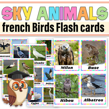 Preview of French Birds Flash cards |Sky Animals Birds Posters Vocabulary |Oiseaux