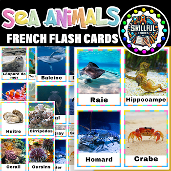 Preview of French Sea Animals Real Photos Flash cards|Sea Animals Real Picture Posters