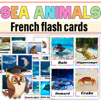 Preview of French Sea Animals Real Photos Flash cards|Sea Animals Real Picture Posters