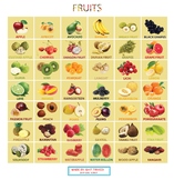fruit sheets with their activities and exercises