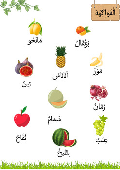 Preview of fruit  vocabulary