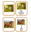 Flash card animals in English, bahasa Indonesia and Mandarin