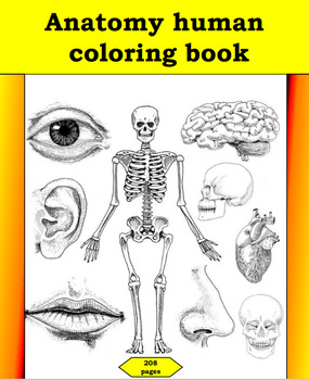 Preview of human Anatomy Coloring Book