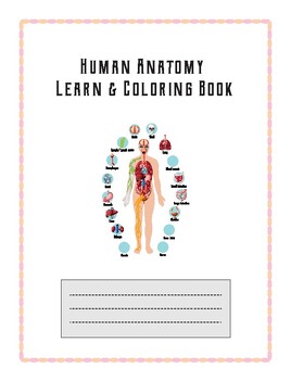 Preview of human anatomy learn and coloring book
