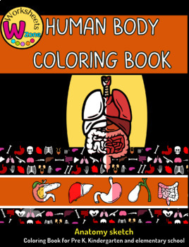 Preview of human body organs coloring book human body anatomy  systems sketch book