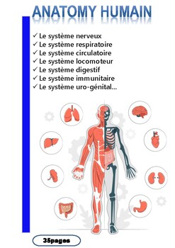 Preview of human body  systems french pdf