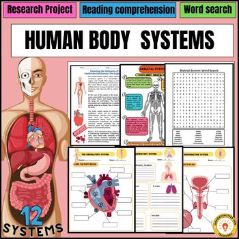Preview of human body systems unit bundle