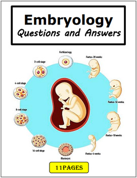 Preview of human embryonic development :Questions and Answers