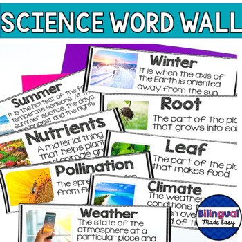 Preview of k - 5 Science Vocabulary Word Wall Bulletin Board Set