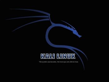 Preview of kali linux