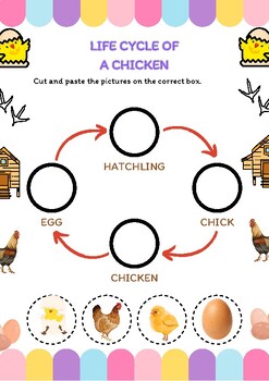 Preview of lıfe cycle of animal