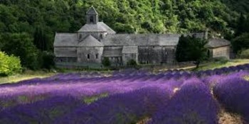 Preview of l'Abbaye Notre Dame de Senanque: Lavender Fields of France